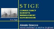 Stige Surveys - Alessio Gnecco