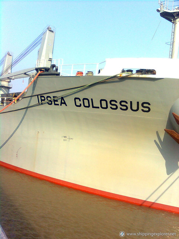Ipsea Colossus