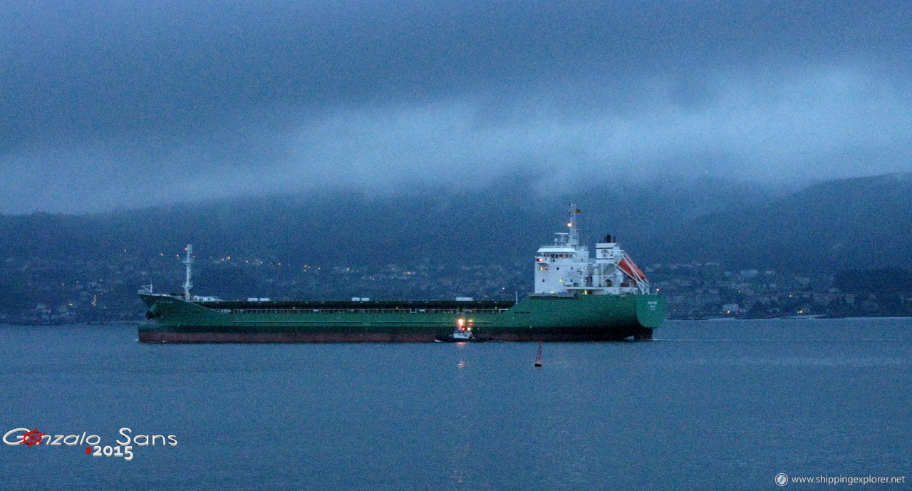 Arklow Muse