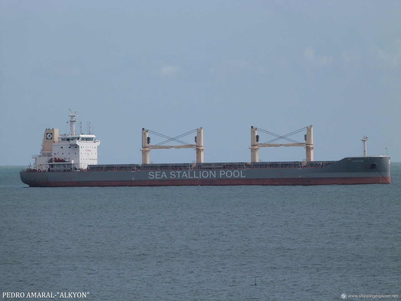 Ssi Reliance