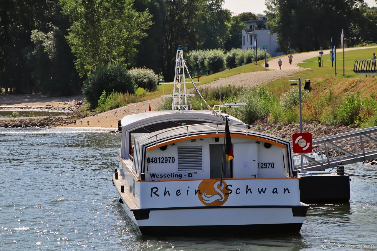 Rheinschwan