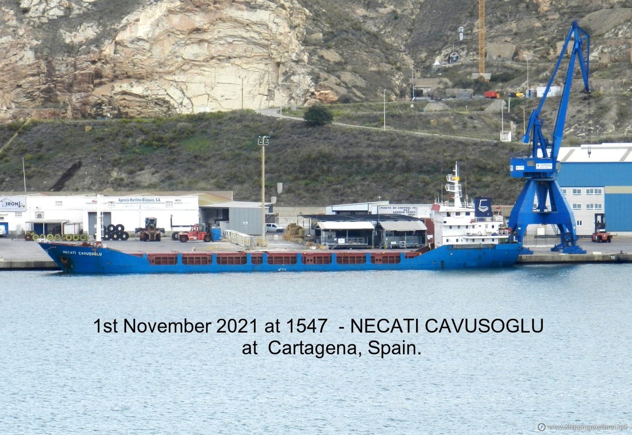 Necati Cavusoglu